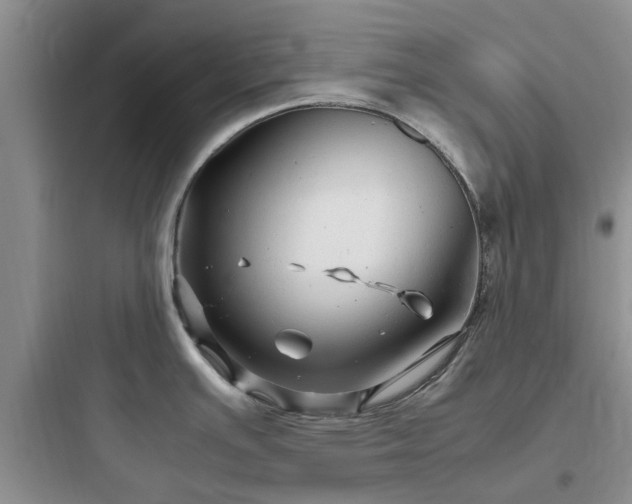 X0000097901391200803211431