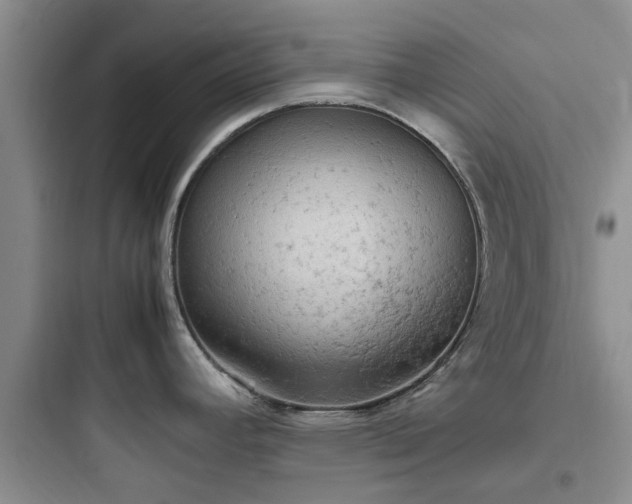 X0000097901392200803211431