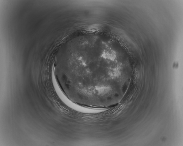 X0000097901394200803211430
