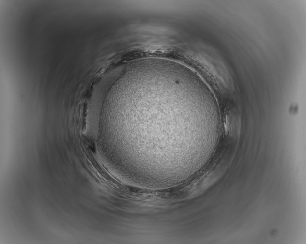 X0000097901396200803211431