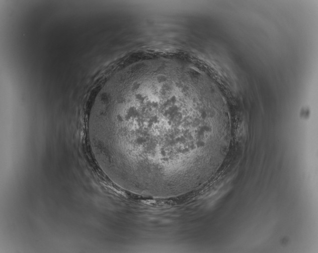 X0000097901397200803211431