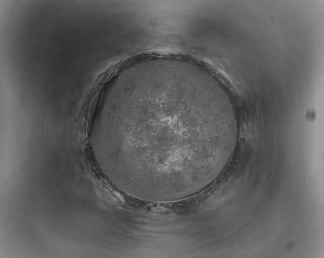 X0000097901398200803211431
