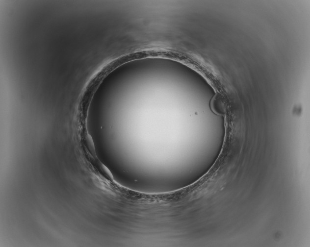 X0000097901400200803211431