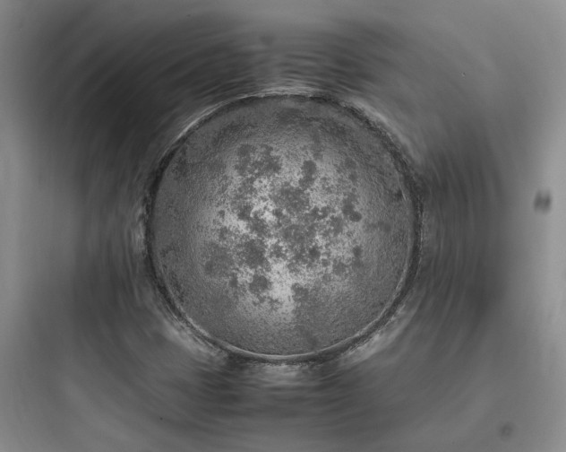 X0000097901401200803211431