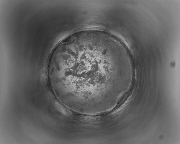 X0000097901405200803211431
