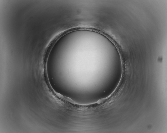 X0000097901408200803211431