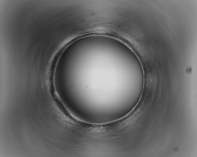 X0000097901410200803211431
