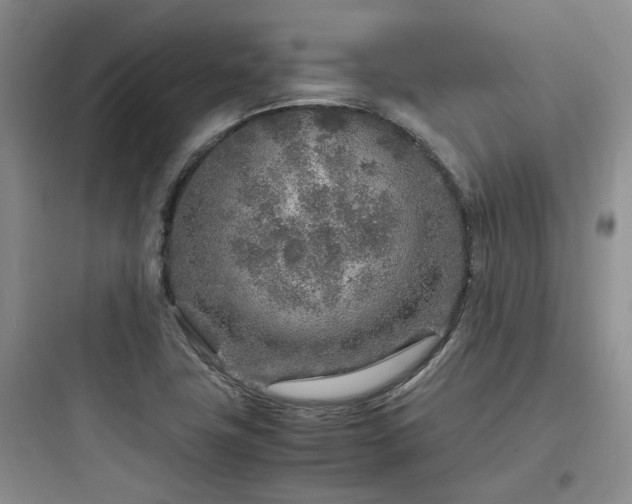 X0000097901411200803211431