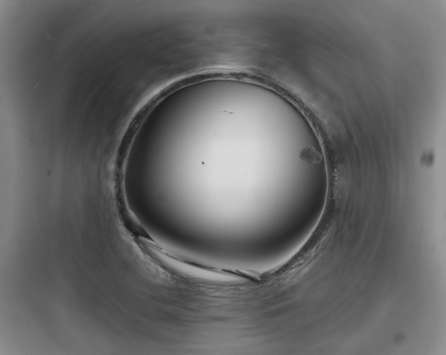 X0000097901412200803211431
