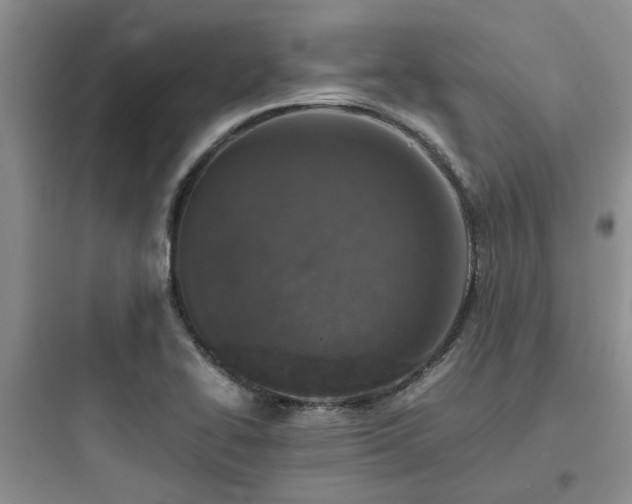 X0000097901414200803211431