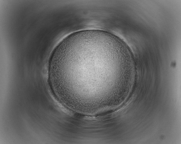 X0000097901415200803211431