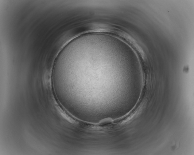 X0000097901417200803211431