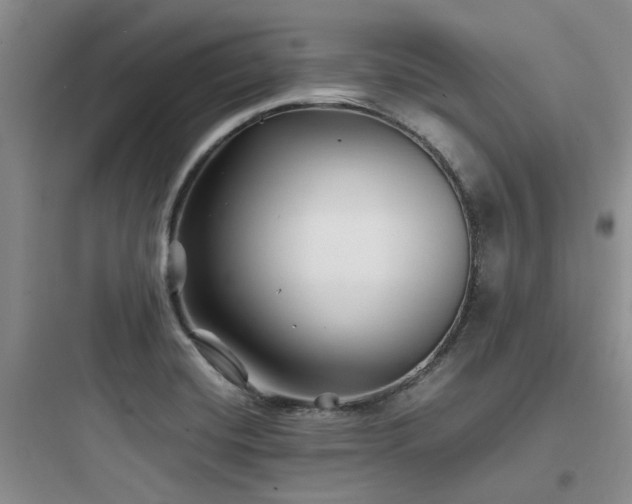 X0000097901420200803211431