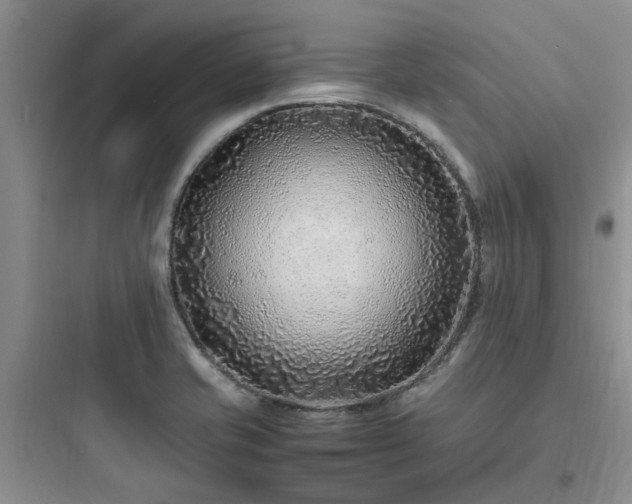 X0000097901421200803211431
