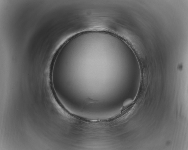 X0000097901422200803211431