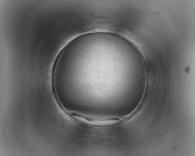 X0000097901423200803211431