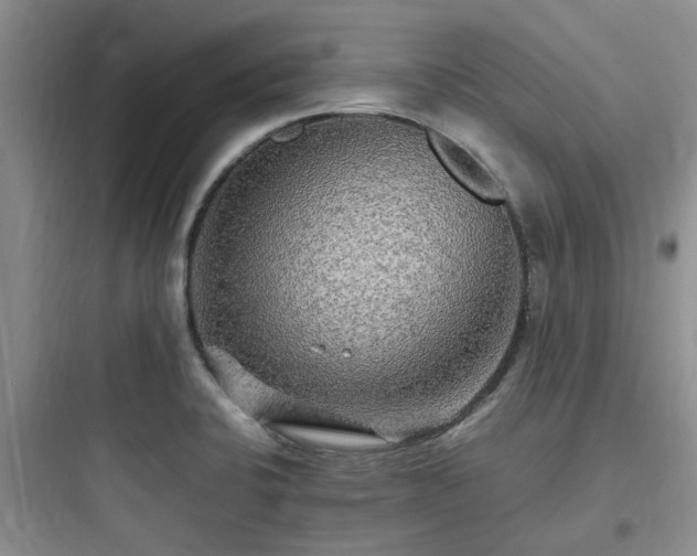 X0000097901424200803211431