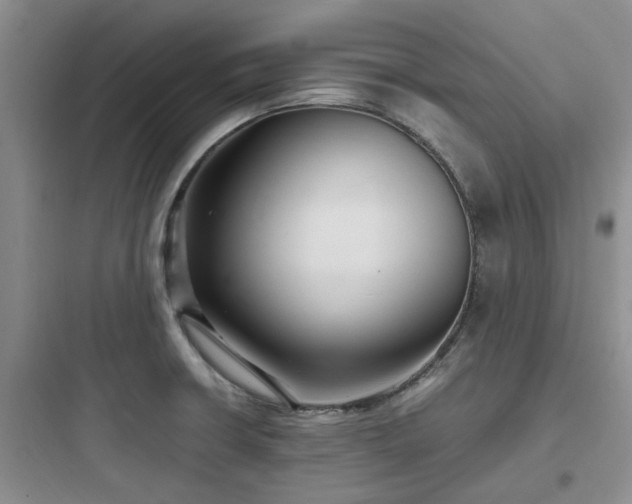 X0000097901426200803211431