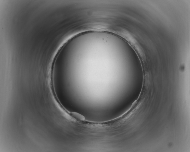 X0000097901432200803211431