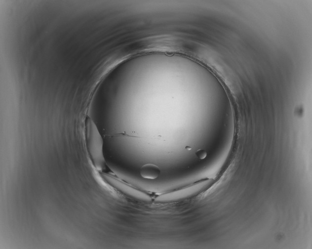 X0000097901433200803211431