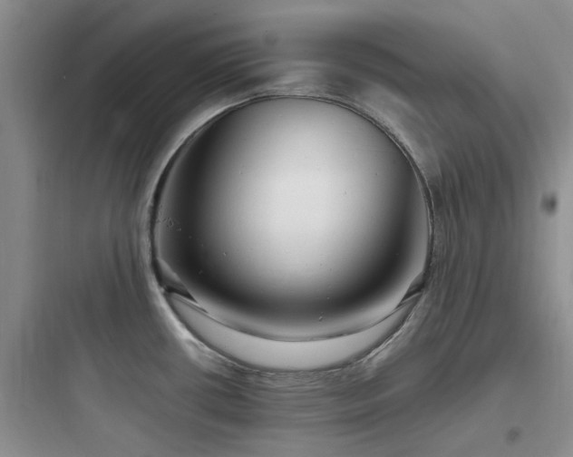 X0000097901434200803211431