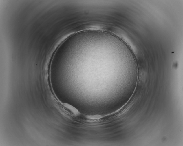 X0000097901435200803211431