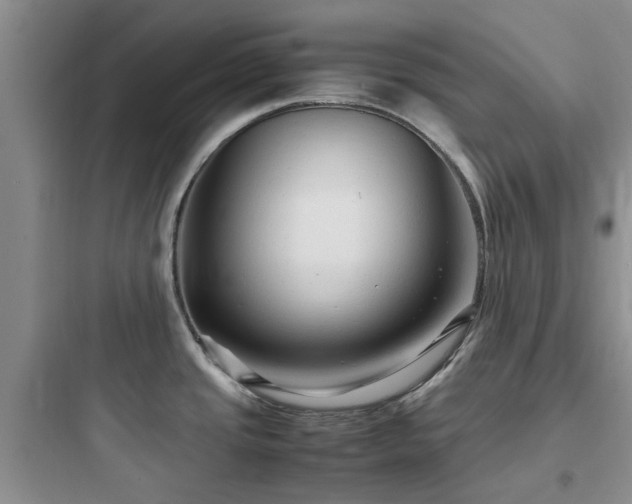 X0000097901437200803211431