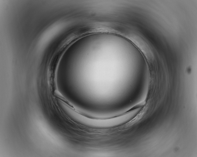 X0000097901438200803211431