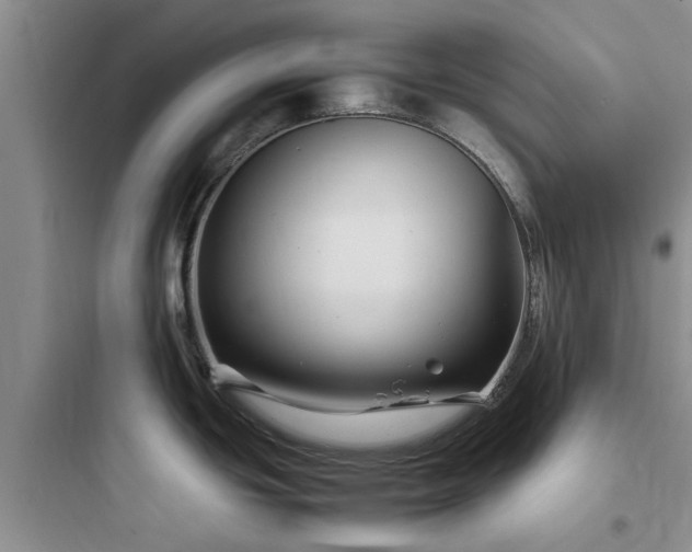 X0000097901439200803211431