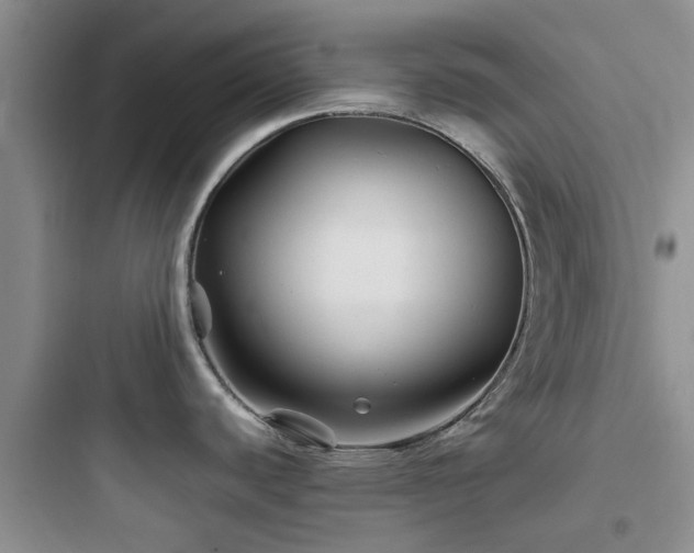 X0000097901440200803211431
