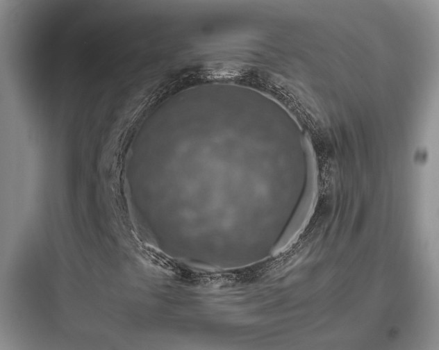 X0000097901441200803211430