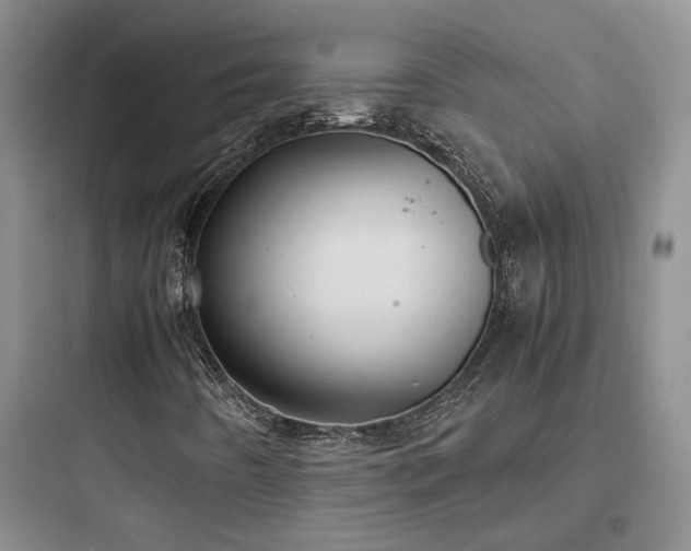 X0000097901442200803211430