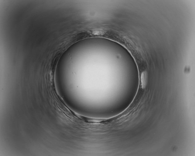 X0000097901443200803211430