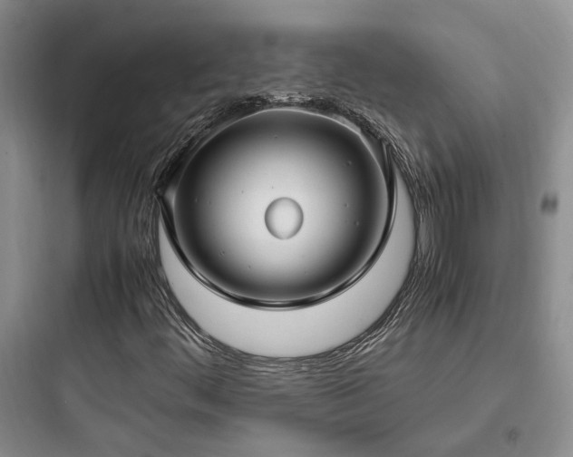 X0000097901444200803211430