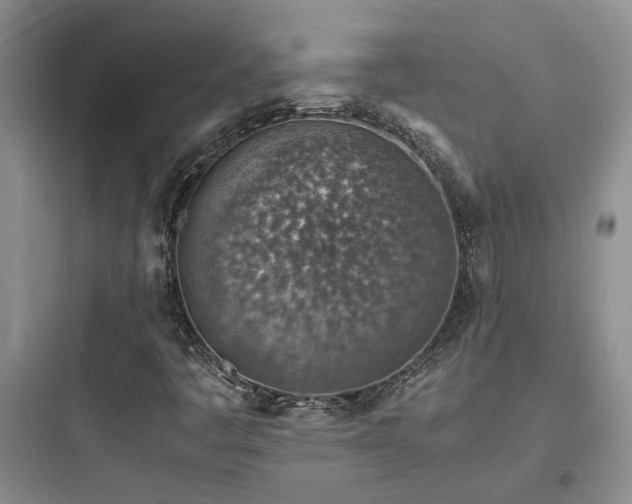 X0000097901445200803211430