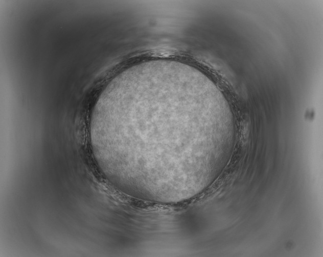 X0000097901446200803211430