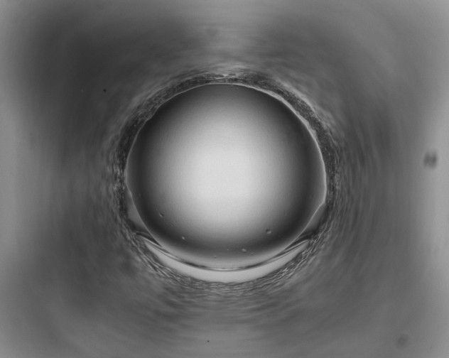 X0000097901447200803211430