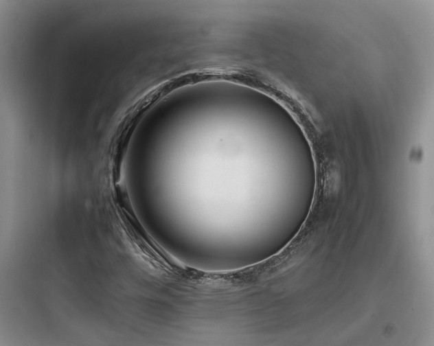 X0000097901448200803211430