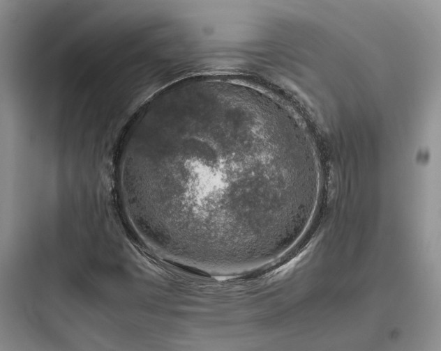 X0000097901449200803211430