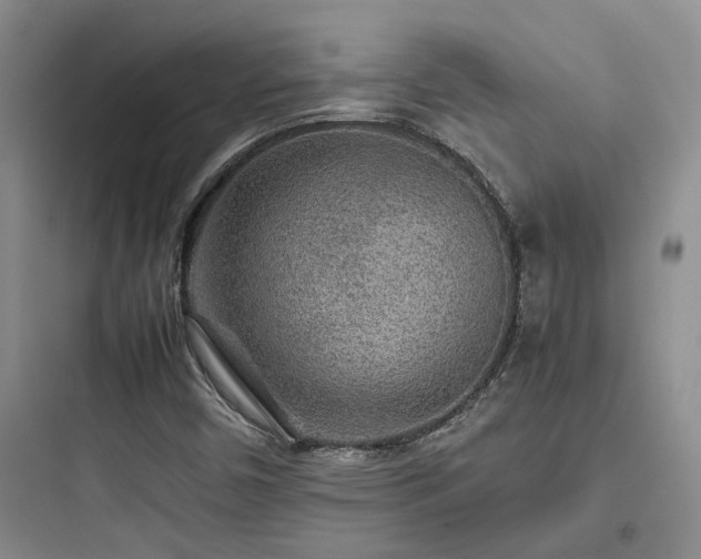 X0000097901450200803211430