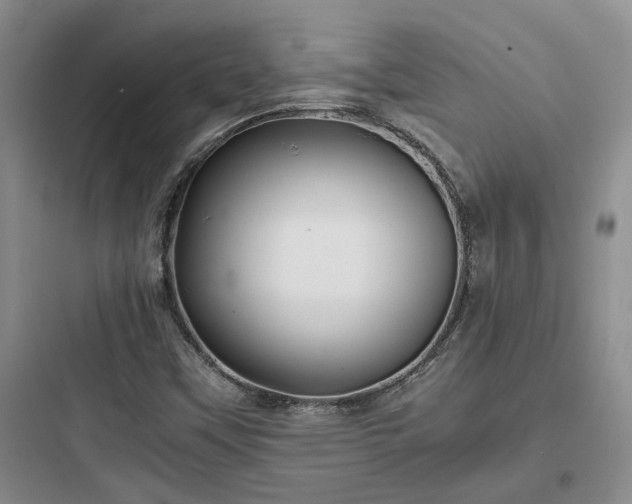 X0000097901451200803211430