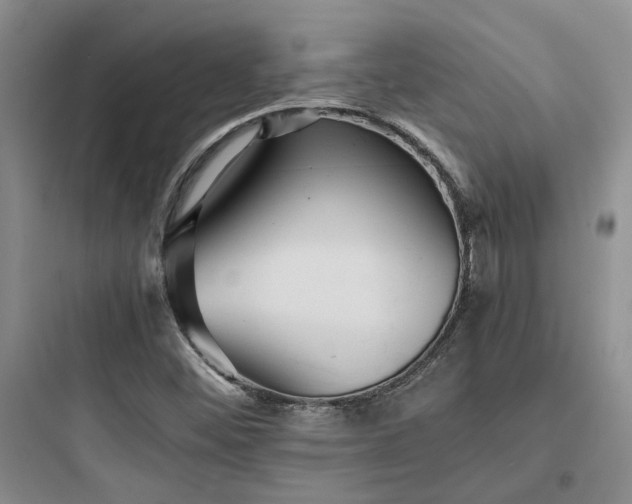 X0000097901452200803211430