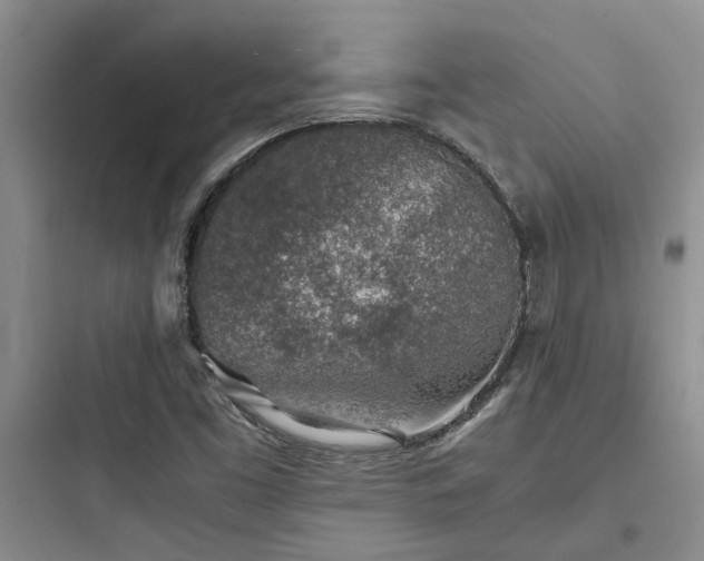 X0000097901453200803211430