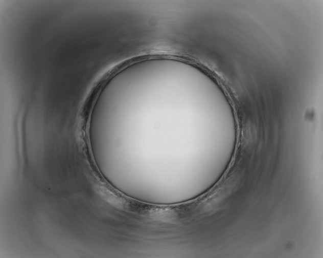 X0000097901454200803211430