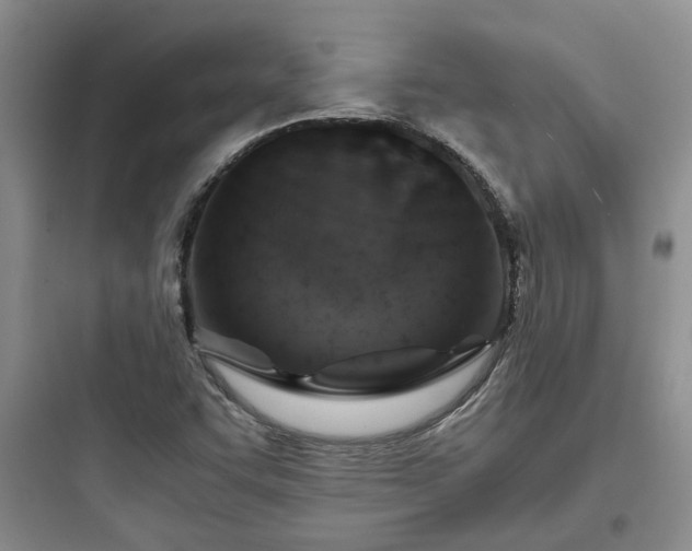 X0000097901455200803211430