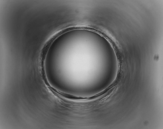 X0000097901456200803211430