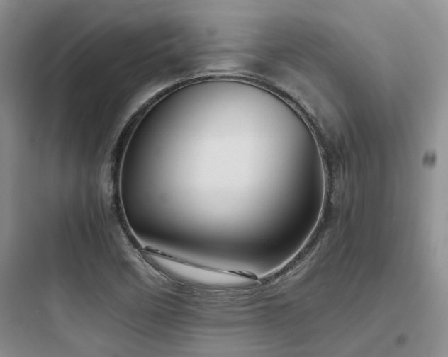 X0000097901458200803211430