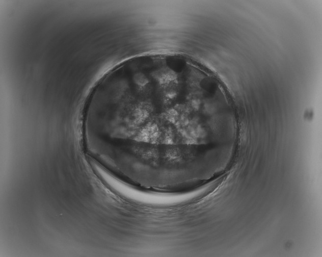 X0000097901459200803211430