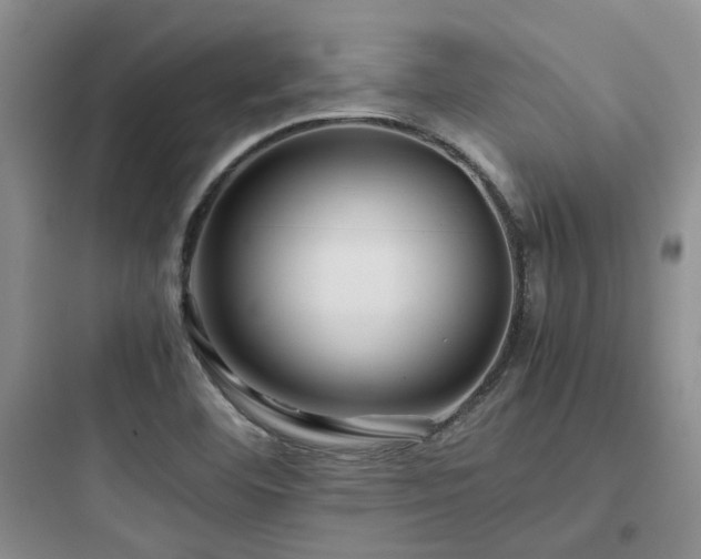 X0000097901460200803211430