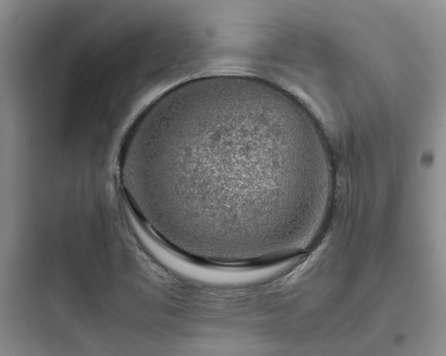 X0000097901461200803211430